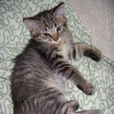 สมาชิกหมายเลข 2987936