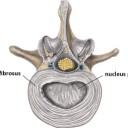 สมาชิกหมายเลข 3437127
