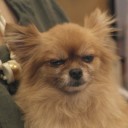 สมาชิกหมายเลข 1457851