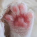 สมาชิกหมายเลข 1664556