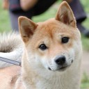 สมาชิกหมายเลข 1317770