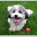 สมาชิกหมายเลข 2134938