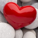 สมาชิกหมายเลข 1800358