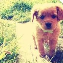 สมาชิกหมายเลข 948959