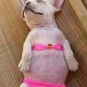 สมาชิกหมายเลข 1351385