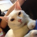 สมาชิกหมายเลข 2272779