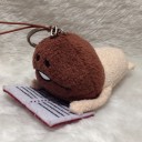 สมาชิกหมายเลข 2979795