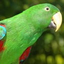 สมาชิกหมายเลข 816254