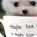 สมาชิกหมายเลข 949559