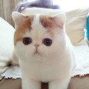 สมาชิกหมายเลข 1777405