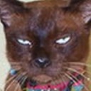 สมาชิกหมายเลข 1325972