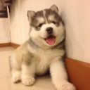 สมาชิกหมายเลข 2194424