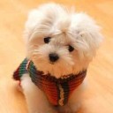 สมาชิกหมายเลข 859848