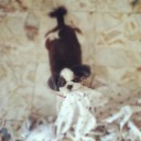 สมาชิกหมายเลข 901964