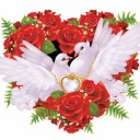 สมาชิกหมายเลข 949754