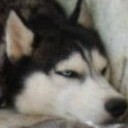 สมาชิกหมายเลข 949787