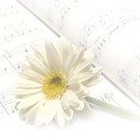 สมาชิกหมายเลข 949869