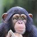 สมาชิกหมายเลข 1457818