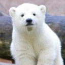 สมาชิกหมายเลข 2546976