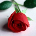 สมาชิกหมายเลข 1571985