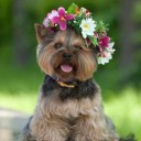 สมาชิกหมายเลข 1778730