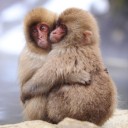 สมาชิกหมายเลข 2098029