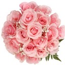 สมาชิกหมายเลข 2585579