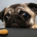 สมาชิกหมายเลข 2991075