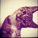 สมาชิกหมายเลข 951136