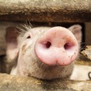 สมาชิกหมายเลข 782548