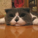 สมาชิกหมายเลข 945554