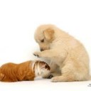 สมาชิกหมายเลข 1354077