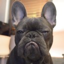 สมาชิกหมายเลข 2191594