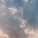 สมาชิกหมายเลข 2485204