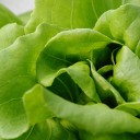 สมาชิกหมายเลข 950718