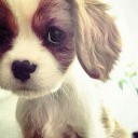 สมาชิกหมายเลข 952087