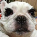 สมาชิกหมายเลข 952092