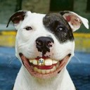 สมาชิกหมายเลข 1341795