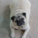 สมาชิกหมายเลข 1780225