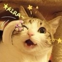 สมาชิกหมายเลข 1780250