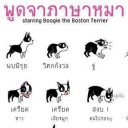 สมาชิกหมายเลข 2990779