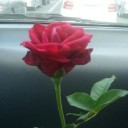 แฟนหนูเป็นป็อปอาย