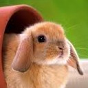 สมาชิกหมายเลข 2555313