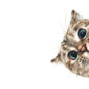 สมาชิกหมายเลข 2586283