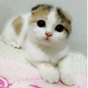 หญิงสาวผู้มาจากดาวพลูโต