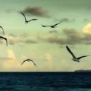 สมาชิกหมายเลข 2161561