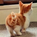 หนึ่งคิด