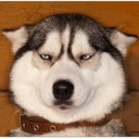 สมาชิกหมายเลข 1355965