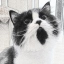 บ้านพลูโต