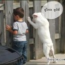 สมาชิกหมายเลข 2193022